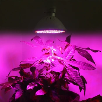 60 106 126 200 2LED büyümek ışık Hidroponik aydınlatma Klip Bitkiler Lambaları Çiçek hidroponik sistem Kapalı Bahçe Sera