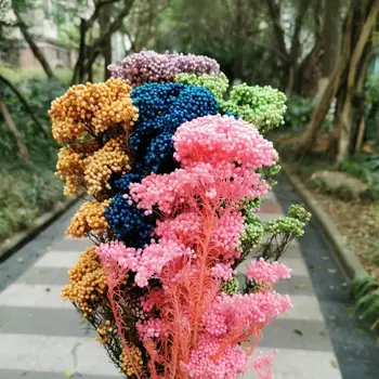 80g/30-40cm, Doğal Korunmuş Mi Çiçek Buketi, Ekran Çiçek Düğün Parti Ev Dekorasyon aksesuarları, düzenlemek çiçekler