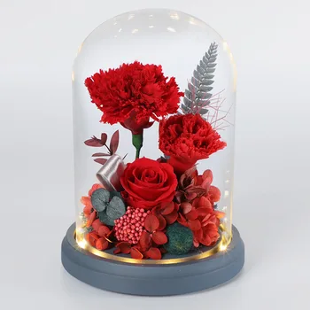 Sevgililer Günü Hediyesi Kurutulmuş Çiçekler Ebedi Gerçek Gül Ev Dekor LED Cam Kubbe Yeni Yıl Hediye Gül Yuvarlak Lamba Süsler