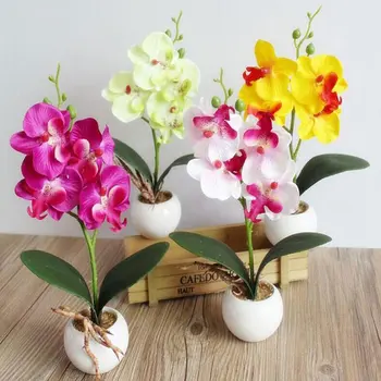 Yaratıcı Çiçekler Fantezi Dört Kelebek Orkide Etli Bitki Bonsai Çiçek Düzenleme Aksesuarları SP99